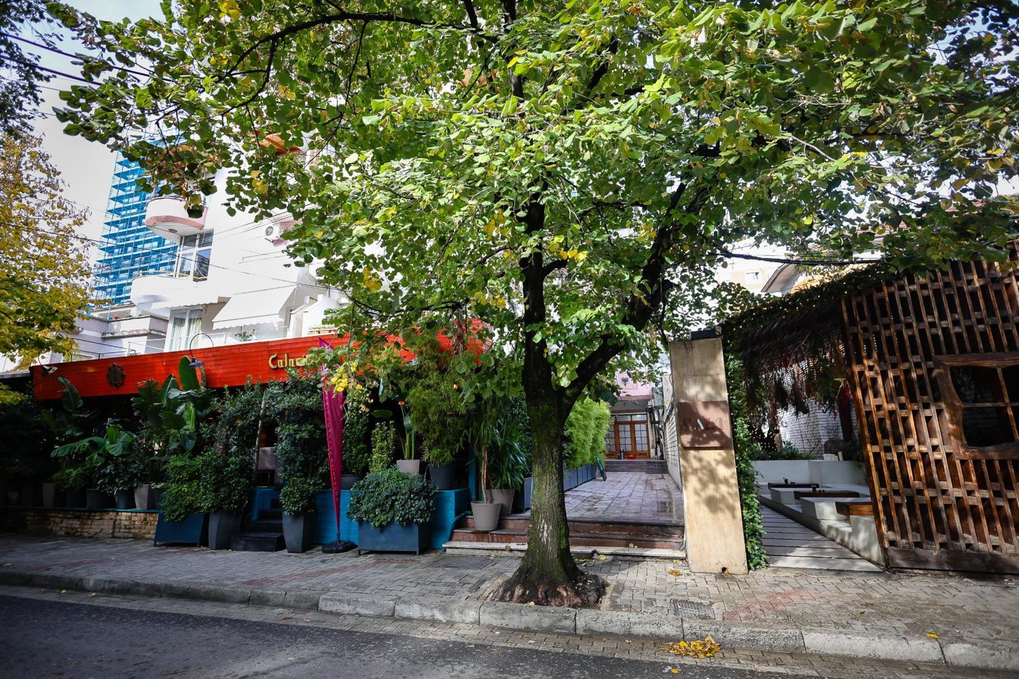 Noela'S Place Tirana Kültér fotó